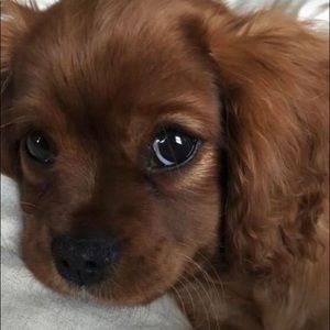 Meet your Posher, Jazlyn